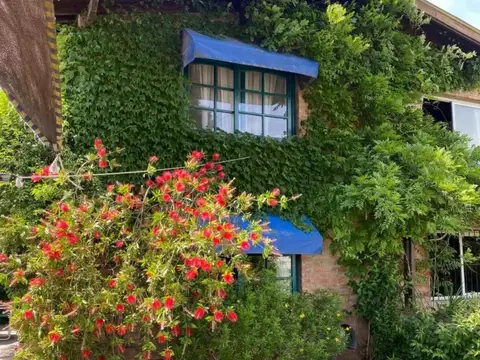 Arcachon y San Petersburgo