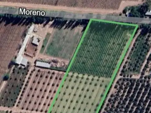 CARRIL MORENO MAIPU 2.5HA