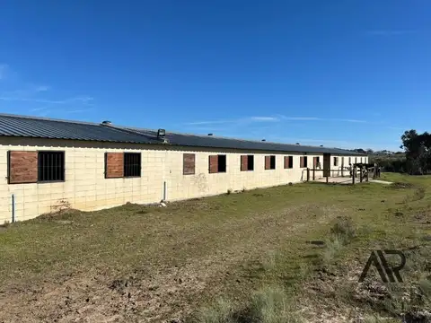 Venta Establecimiento de Haras con boxes