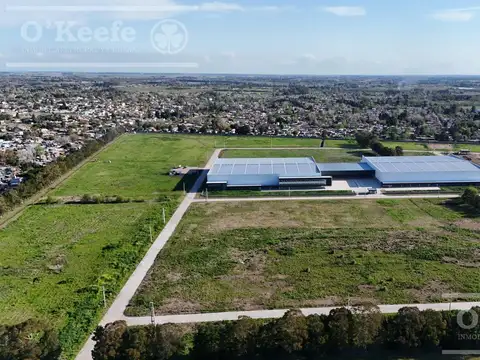 LOTE EN VENTA 5000 M2 PARQUE INDUSTRIAL PITEC 2 - ETAPA 1