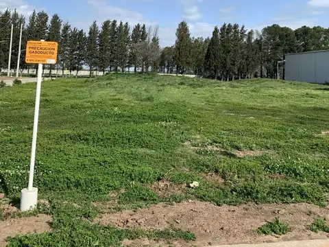 Terreno en Venta de 6125,0 m2