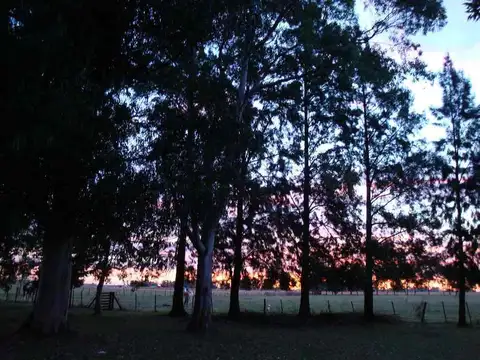 VENTA CHACRA  77450 M2 CAÑUELAS