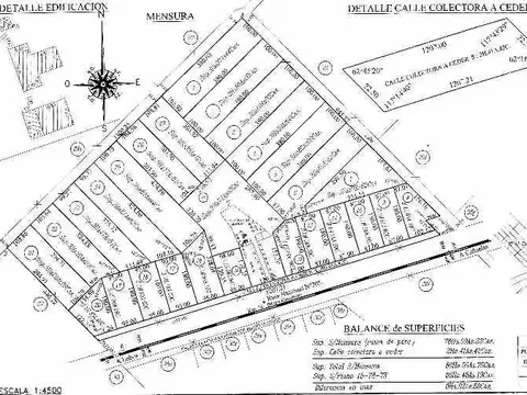 VENTA CHACRA  77450 M2 CAÑUELAS