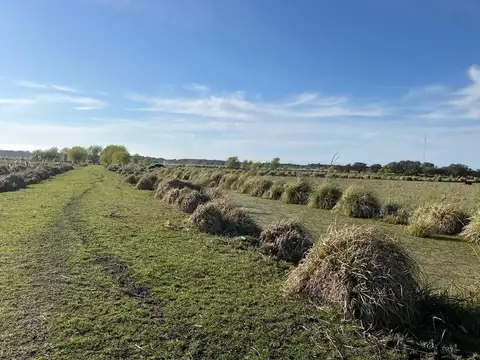 La Mansa Ruta 74 S/N, Pinamar, Pinamar, Buenos Aires