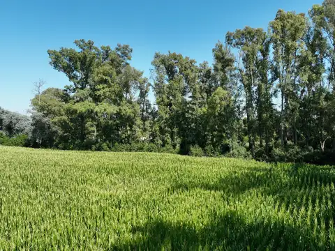 Campo en Venta Agricola