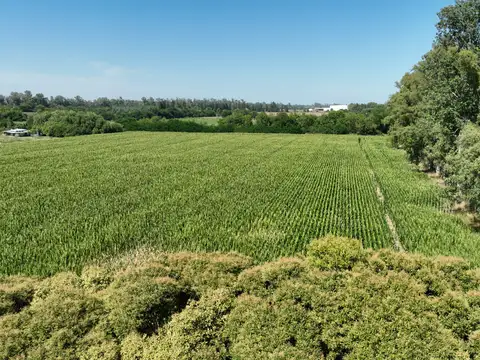 Campo en Venta de 6  ha