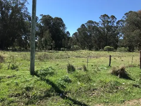 Terreno en Venta en Necochea, USD 8.000