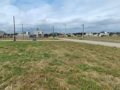 Altos de La Colonia 100