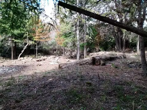 Terreno en Venta 50  mts Fondo