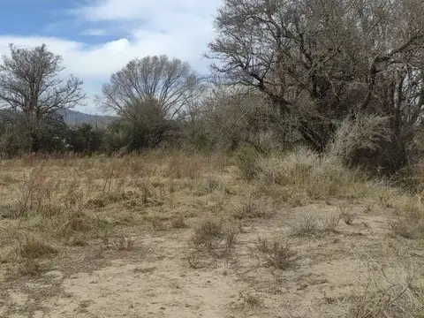 Terreno en Venta de 1000,0 m2