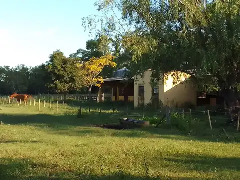 Campo en  Carlos Keen