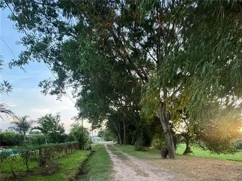 Terreno en Venta 24,91  mts Frente