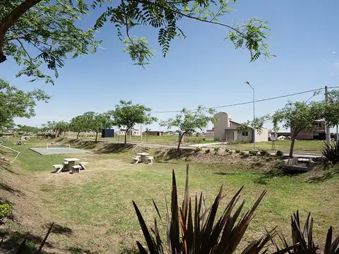 C INDEPENDENCIA y C. ALMENDRO