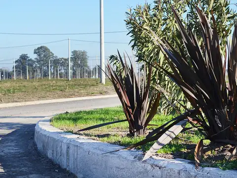 Terreno en Venta de 270,0 m2