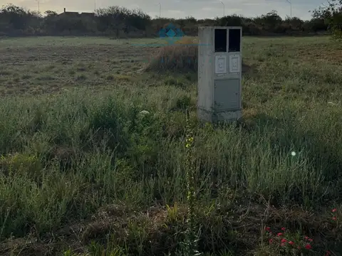 OPORTUNIDAD  LOTE 2000 M2 | SINSACATE