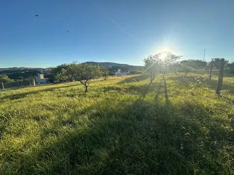 Parcela 93 Macrolote V 500