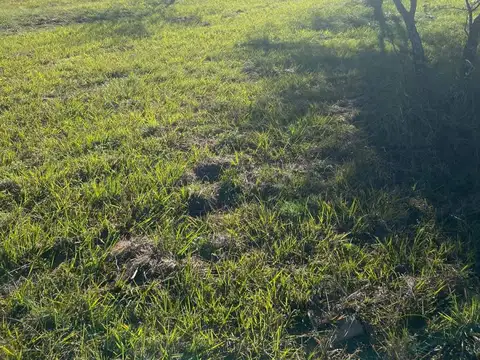 Terreno en Venta de 1866,0 m2