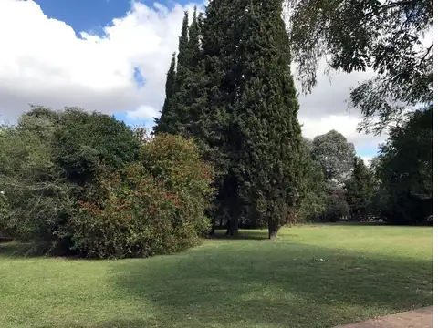 VENTA CHACRA RUTA 31 SAN ANTONIO DE ARECO