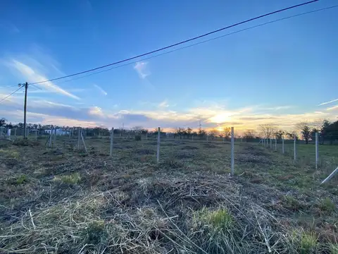Barrio "la Candelaria", Lote 4