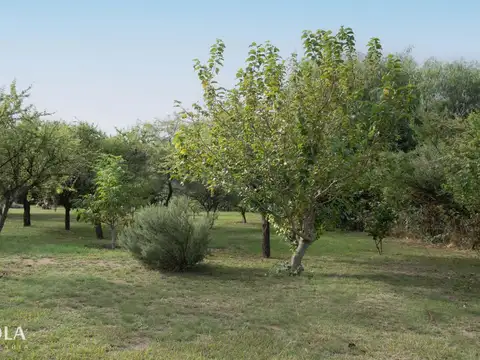 Tres terrenos parquizados en carpintería