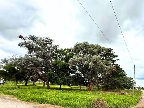 Terreno en Venta 17  mts Fondo