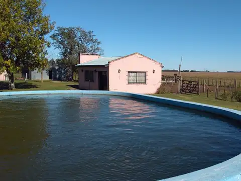 Campo en Venta de 50  ha