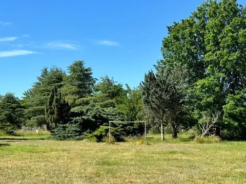 Terreno en Venta en Pontevedra, USD 3.700