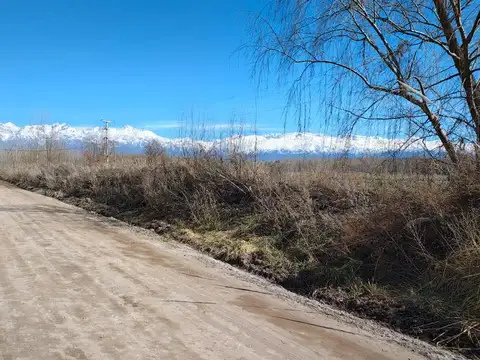 Campo en Vista Flores