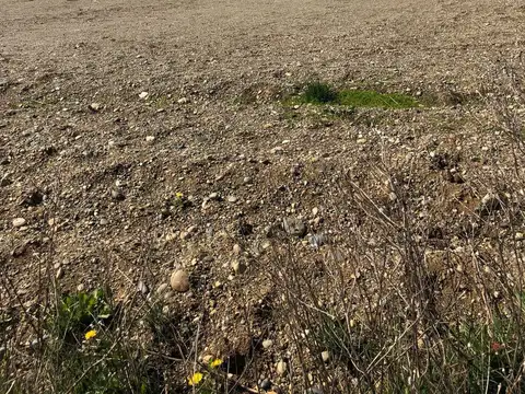 Terreno en Venta de 251,0 m2