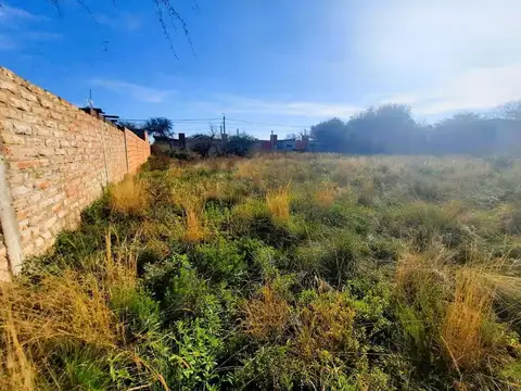 Terreno en Independencia N° 2167, TOAY