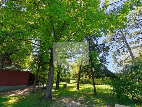 Terreno en Venta de 180000,0 m2