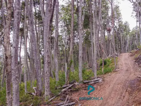 Terreno en Venta 89  mts Frente