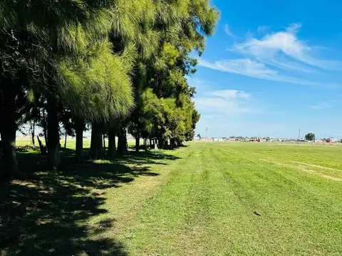 Terreno en Venta en Domselaar, USD 19.300