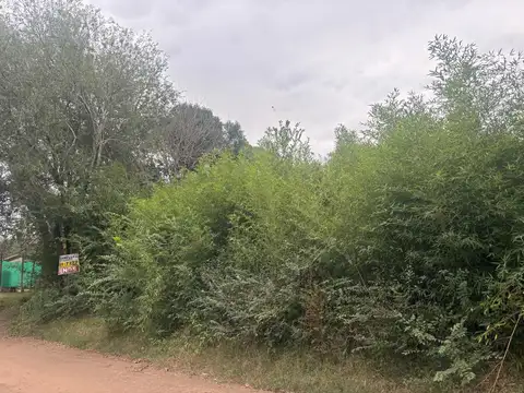 Terreno en Venta 34  mts Fondo