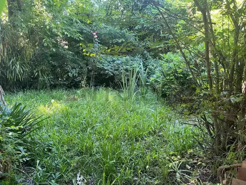 ARROYO LOLOTA , Piso 0