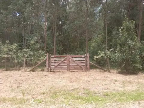 Terreno en Venta en Colonia Del Sacramento, USD 24.900