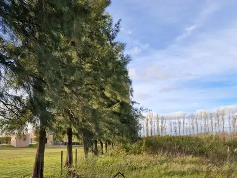 Linda chacra de 8925m2, camino a Tomás Jofré.