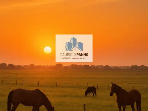 Terreno / Lote en venta de 300m2 ubicado en Duggan