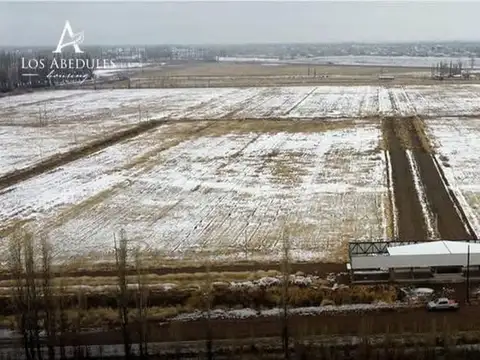 TERRENO EN VENTA Bª LOS ABEDULES MALRGUE MENDOZA