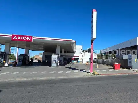 Local en Alquiler A Estrenar