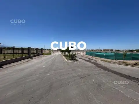 Juan Jose Paso y Terrada Pinar del Sol 9