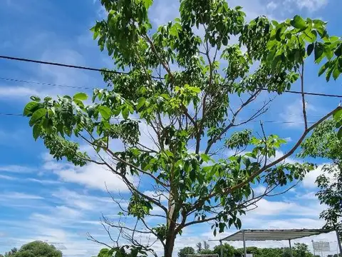 Terreno en Venta de 560,0 m2