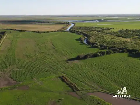 Venta / permuta | Campo 49,76 Ha | Victoria, Entre Ríos