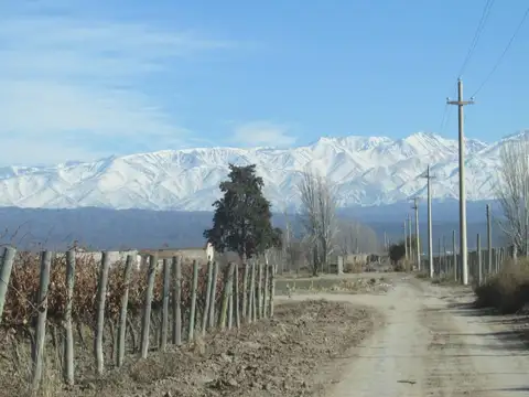 Finca en Venta Ugarteche Lujan de Cuyo