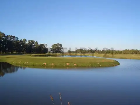 Terreno en Venta de 1707,0 m2