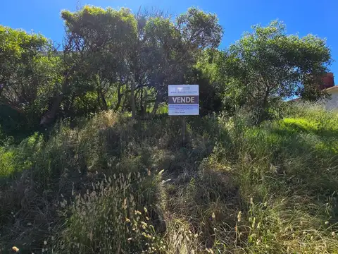 Terreno en Venta 32  mts Fondo