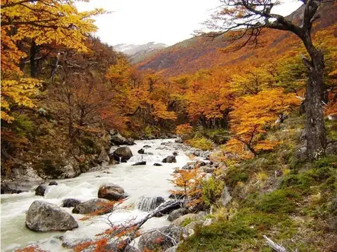 Vivienda con amplia fracción en cerca de El Chaltén