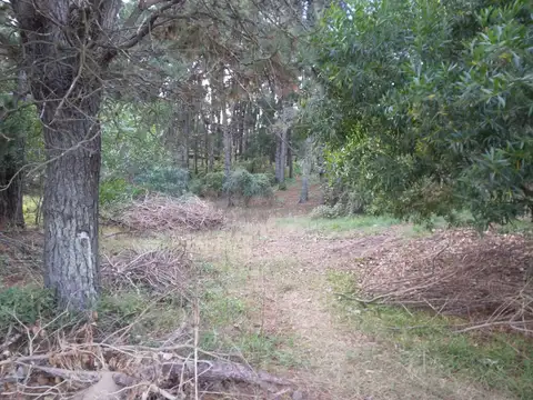 Terreno en Venta de 450,0 m2