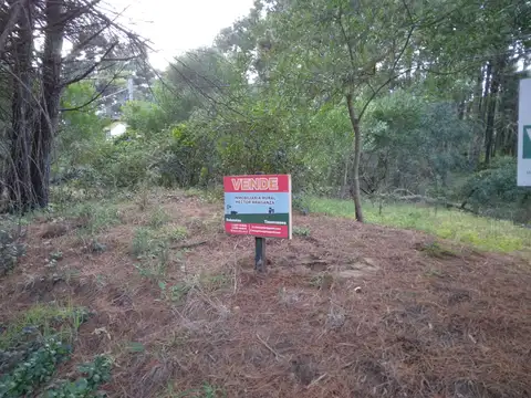 LOTE COMERCIAL EN MAR DE LAS PAMPAS