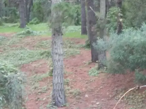 LOTE COMERCIAL EN MAR DE LAS PAMPAS